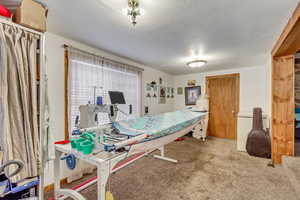 Recreation room with carpet flooring and a textured ceiling