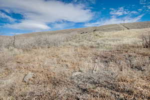 View of local wilderness