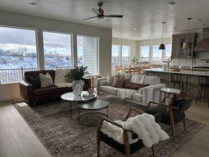 Living room with wood-type flooring, sink, and a textured ceiling