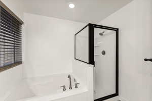 Bathroom with separate shower and tub