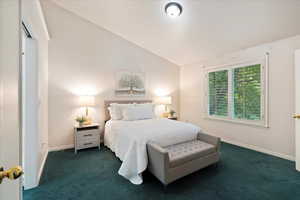 Bedroom with lofted ceiling and dark carpet