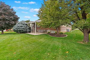 View of yard with a patio area