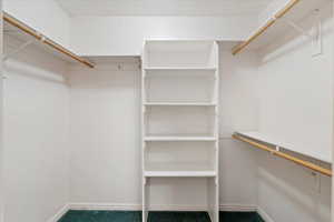 Spacious closet featuring carpet flooring