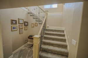 Stairway featuring carpet flooring