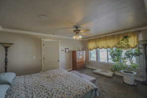 master Bedroom with ceiling fan, carpet, and ornamental molding