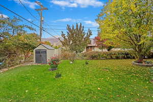 View of yard featuring a shed