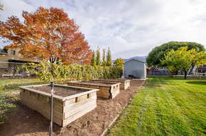 Garden boxes