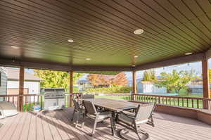 Covered Trex deck