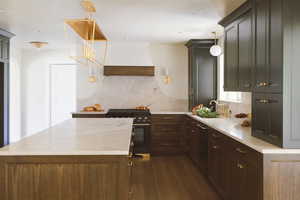 Kitchen featuring backsplash, sink, hanging light fixtures, high end stove, and dark hardwood / wood-style flooring