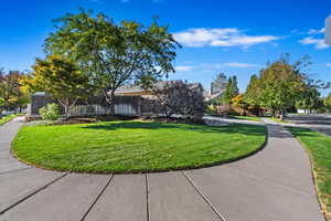 View of community featuring a yard