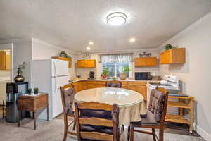 Dining area featuring washer / clothes dryer, crown molding, a textured ceiling, and light colored carpet