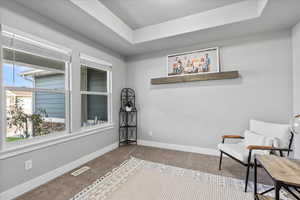 Office/den/flex room with tray ceiling