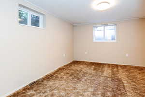 Carpeted empty room with crown molding and a healthy amount of sunlight