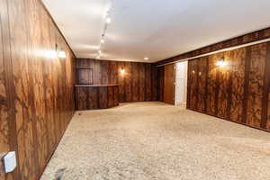 Basement with wood walls, carpet floors, and rail lighting