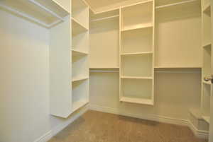 Spacious closet with carpet