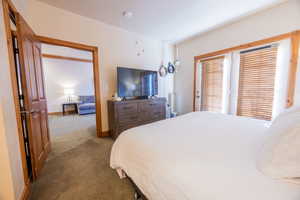 Bedroom with light carpet