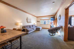 Living room featuring crown molding, a textured ceiling, and carpet flooring