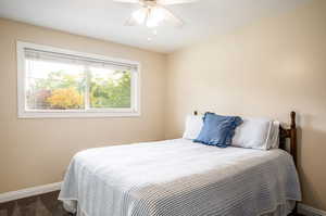 Carpeted bedroom featuring multiple windows and ceiling fan