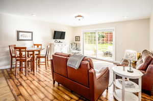 Living room featuring wood-type flooring