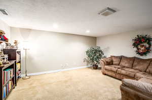 Carpeted living room with a textured ceiling