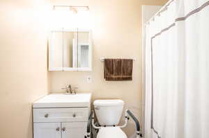 Bathroom featuring vanity, curtained shower, and toilet