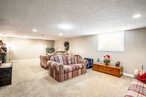 Living room featuring light carpet and a textured ceiling