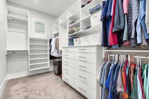 Walk in closet with light colored carpet