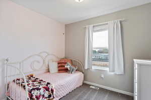 Secondary bedroom with carpet flooring and closet.