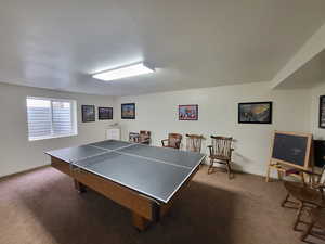 Recreation room with a textured ceiling and dark carpet