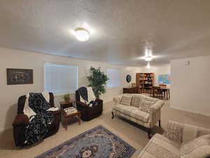 Carpeted living room with a textured ceiling