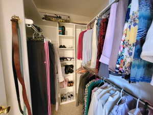 Walk in closet with carpet floors