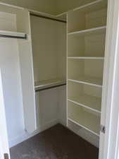 Spacious closet featuring carpet floors