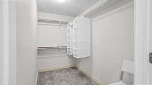 Walk in closet featuring light carpet