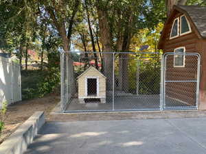 Dog Kennel