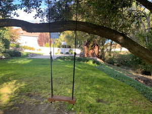 Backyard Swing