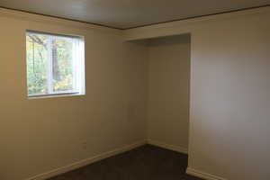 Carpeted spare room featuring crown molding and a textured ceiling