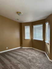 Unfurnished room featuring carpet and a textured ceiling