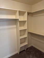 Walk in closet featuring dark colored carpet