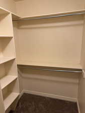 Spacious closet with carpet flooring