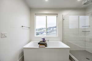 Bathroom featuring shower with separate bathtub