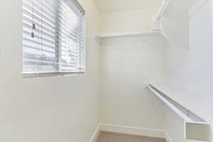 Spacious closet featuring carpet flooring