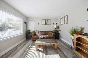 Living room featuring wood-style flooring