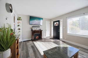 Living room featuring wood-style flooring