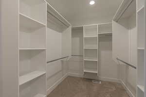 Spacious closet with carpet flooring