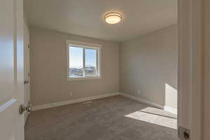 View of carpeted spare room