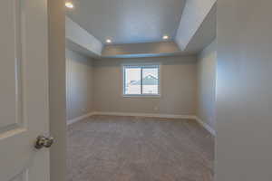 Empty room featuring a tray ceiling, carpet floors, and a textured ceiling