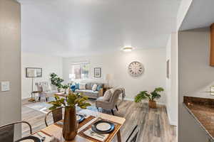 Living room with light hardwood / wood-style floors