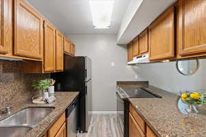 Kitchen featuring stainless steel appliances, dark stone counters, sink, tasteful backsplash, and light hardwood / wood-style flooring