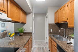 Kitchen featuring ventilation hood, dark stone counters, decorative backsplash, sink, and light hardwood / wood-style flooring