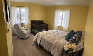 Bedroom with carpet and lofted ceiling